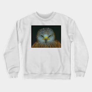 Red Kite Crewneck Sweatshirt